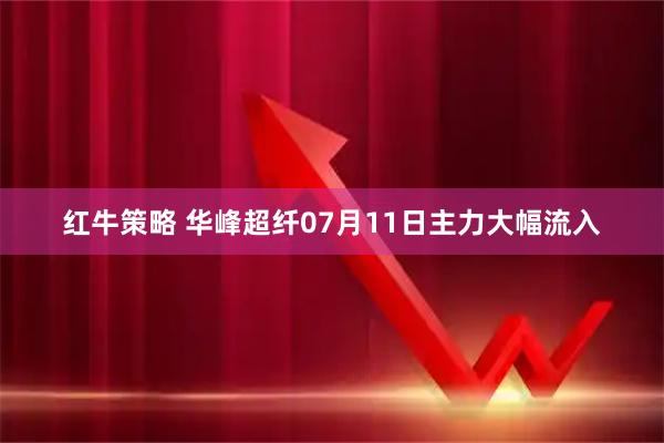 红牛策略 华峰超纤07月11日主力大幅流入