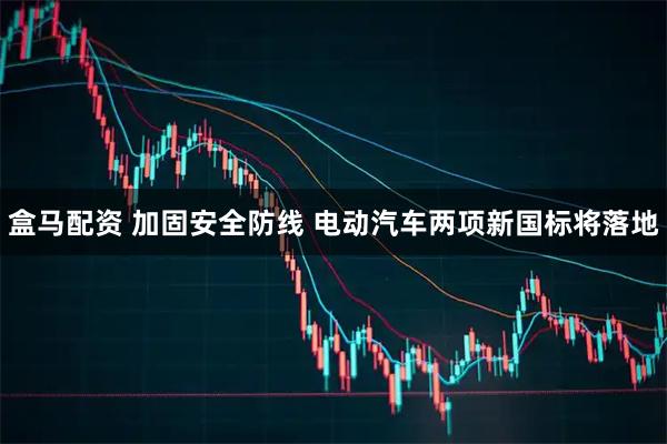 盒马配资 加固安全防线 电动汽车两项新国标将落地