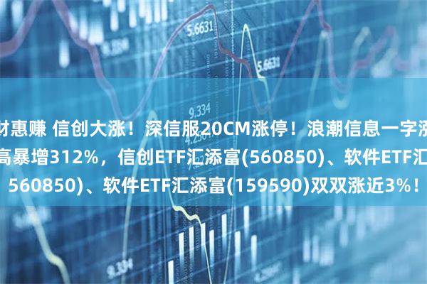 财惠赚 信创大涨!深信服20CM涨停!浪潮信息一字涨停,Q2净利环比最高暴增312%,信创ETF汇添富(560850)、软件ETF汇添富(159590)双双涨近3%!