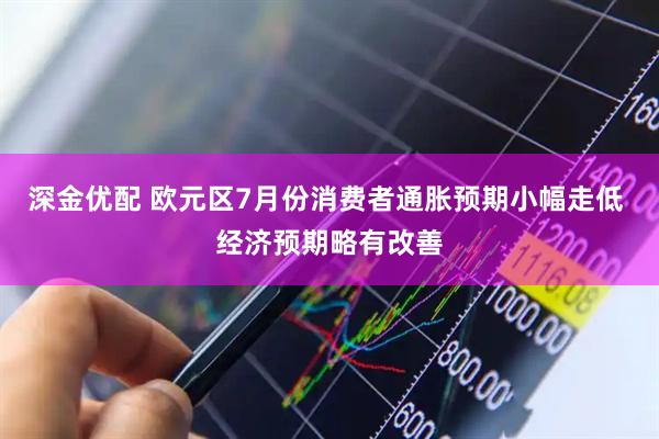 深金优配 欧元区7月份消费者通胀预期小幅走低 经济预期略有改善